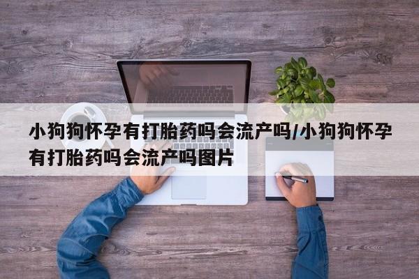 流产药货到付款小狗狗怀孕有打胎药吗会流产吗/小狗狗怀孕有打胎药吗会流产吗图片