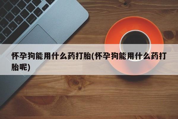 流产药货到付款怀孕狗能用什么药打胎(怀孕狗能用什么药打胎呢)